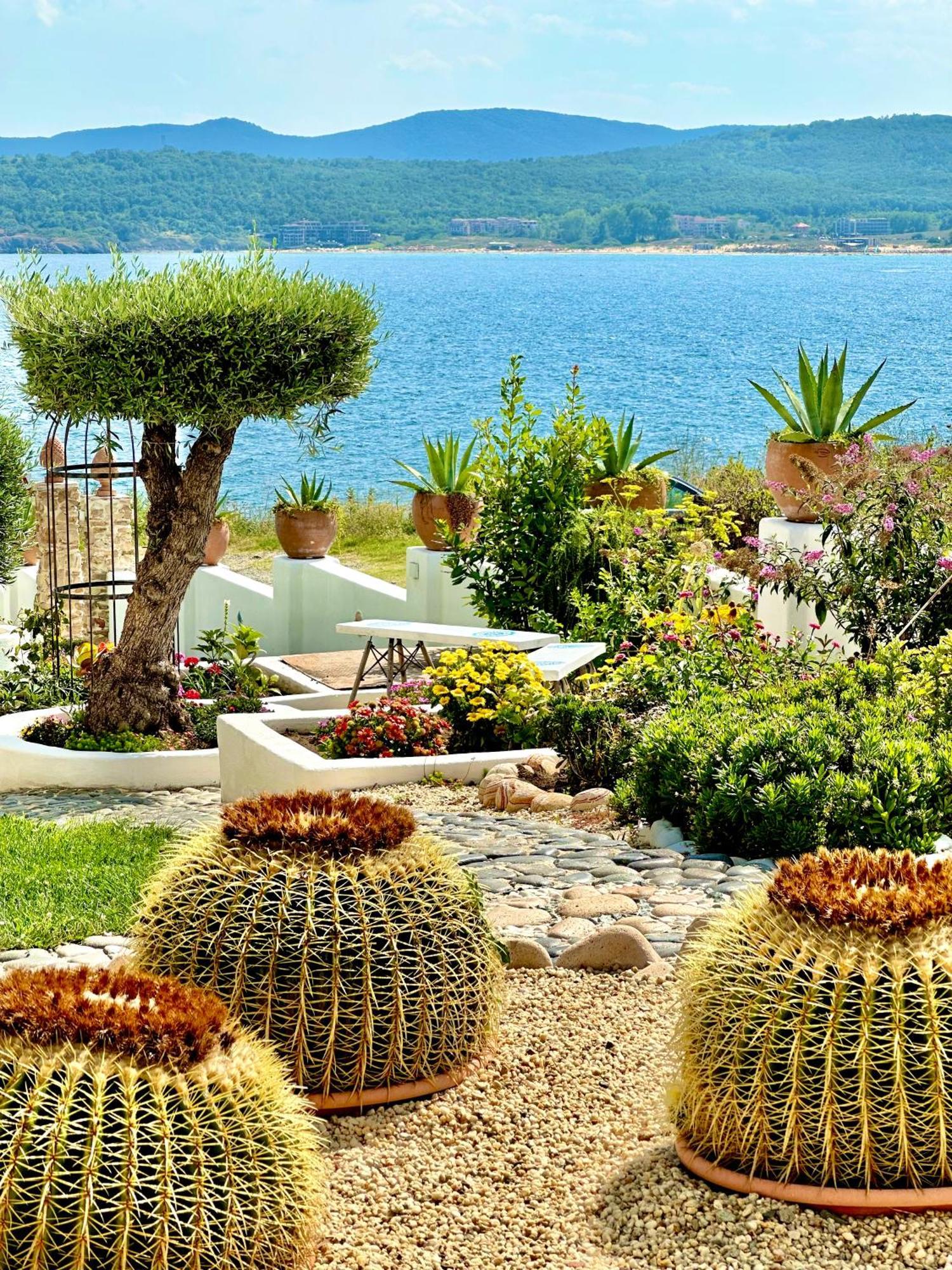 Casa De Oro Alma Aparthotel Sozopol Eksteriør bilde